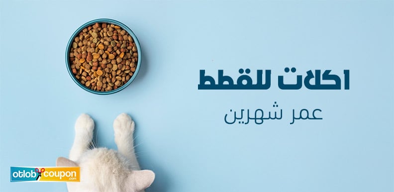 أفضل اكلات للقطط عمر شهرين .. تغذية متوازنة لنمو مثالي
