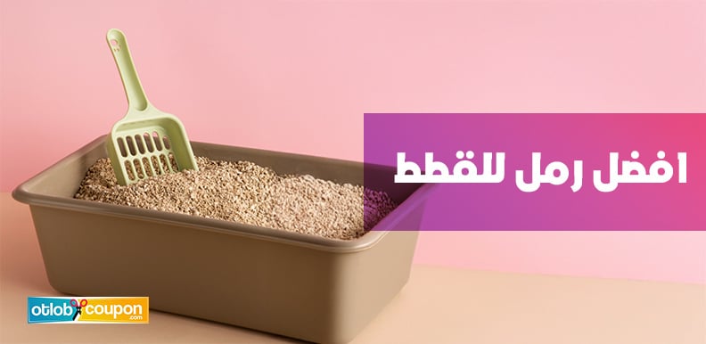 كيف تختار افضل رمل للقطط؟ مقارنة شاملة بين الأنواع والماركات
