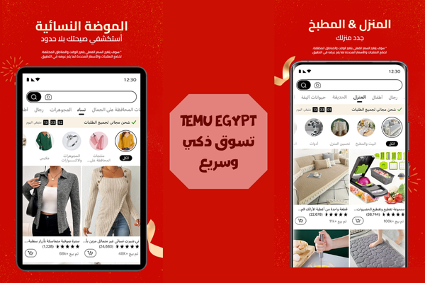 تيمو في مصر الآن