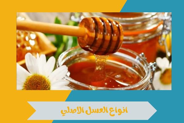 انواع العسل الاصلي