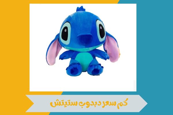 كم سعر دبدوب ستيتش