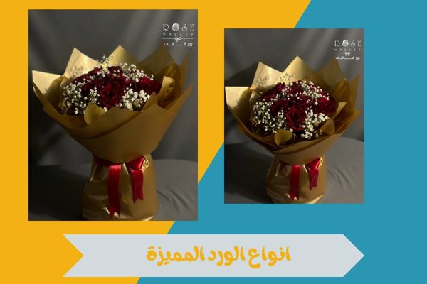 انواع الورد الأكثر شعبية واختيار الأفضل لتقديمه كهدية مميزة 15 انواع الورود