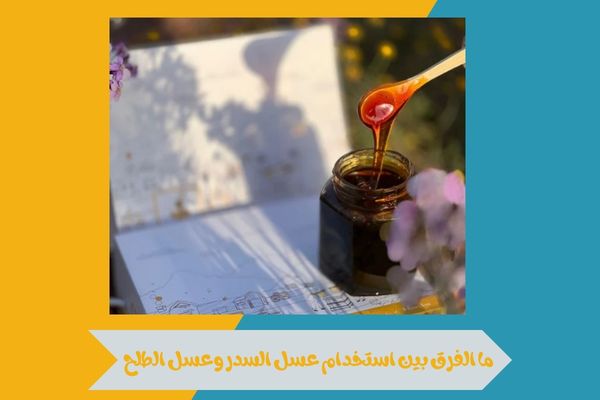 ايهم افضل عسل السدر او الطلح مقارنة بالفوائد الصحية والنكهة 16 ايهم افضل عسل السدر او الطلح
