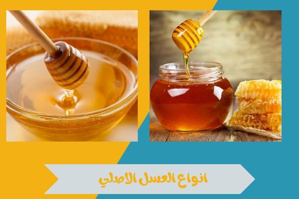 انواع العسل الاصلي