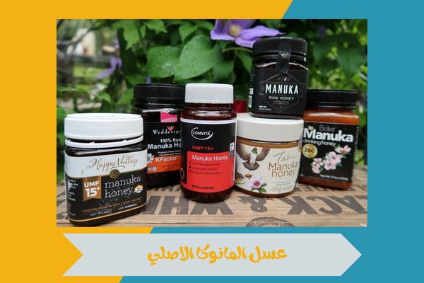 عسل المانوكا الاصلي