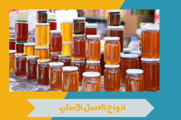 انواع العسل الاصلي