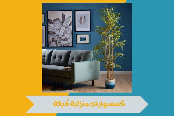 اكسسوارات المنزل ونباتات الزينة