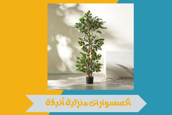اكسسوارات المنزل ونباتات الزينة