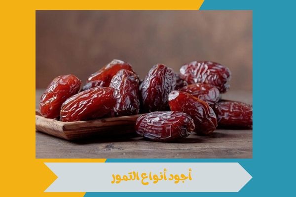 ترتيب أجود أنواع التمور في العالم