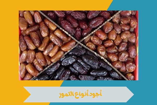 ترتيب أجود أنواع التمور في العالم