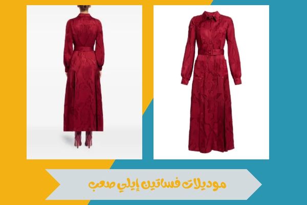 اين تجد فستان ايلي صعب