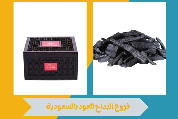فروع البداح للعود 