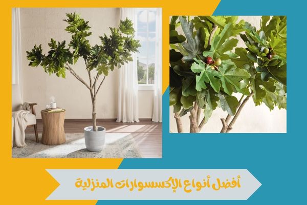 متجر كماليات المنزل