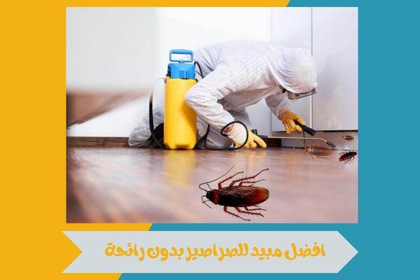 افضل مبيد للصراصير بدون رائحة