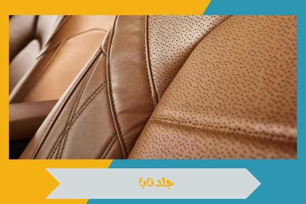 جلد نابا