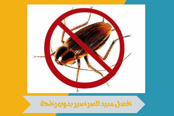 افضل مبيد للصراصير بدون رائحة
