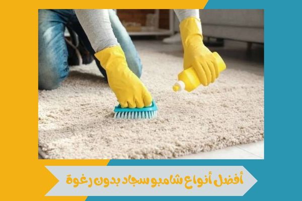 شامبو سجاد بدون رغوة