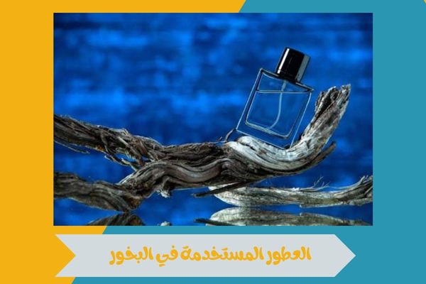 دليلك إلى أفضل العطور المستخدمة في البخور بروائح آسرة وفاخرة 15 العطور المستخدمة في البخور