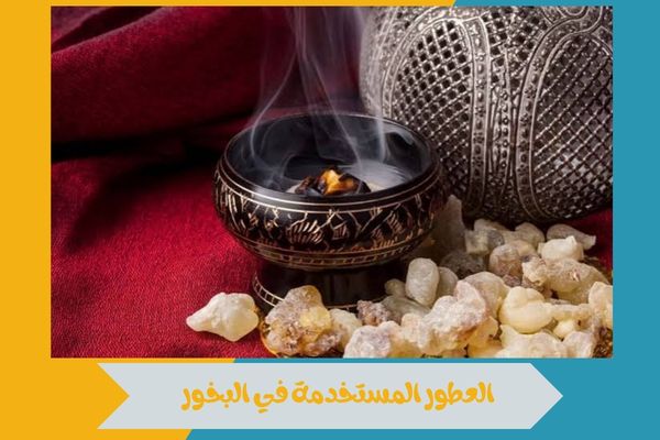 دليلك إلى أفضل العطور المستخدمة في البخور بروائح آسرة وفاخرة 16 العطور المستخدمة في البخور